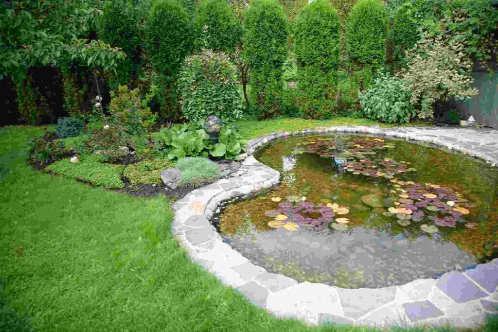 pond installation