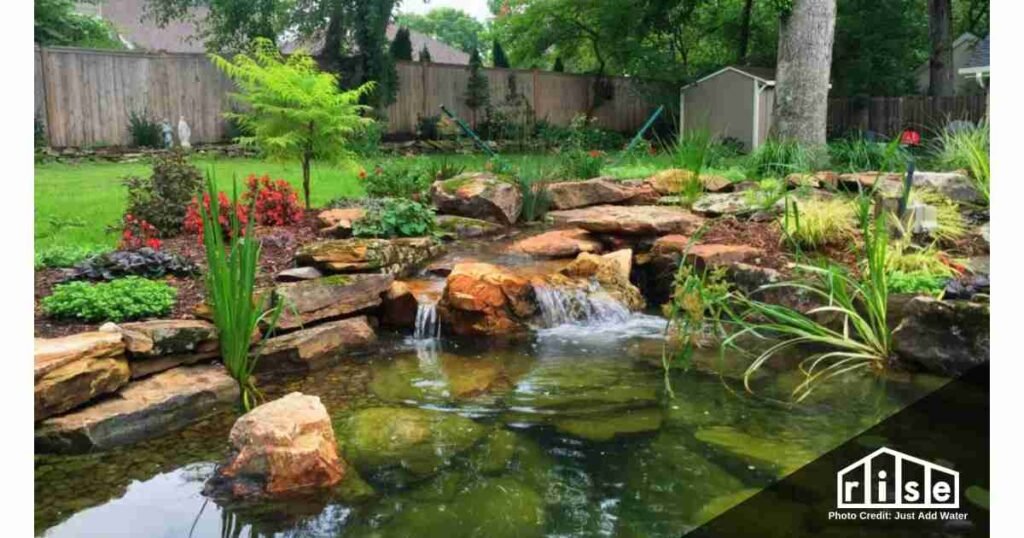 pond maintenance