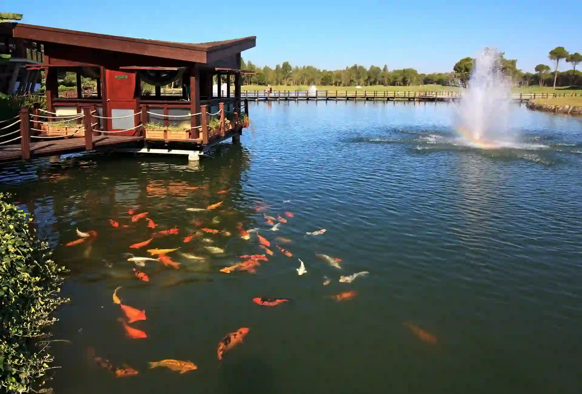 Ponds & Fountains installation