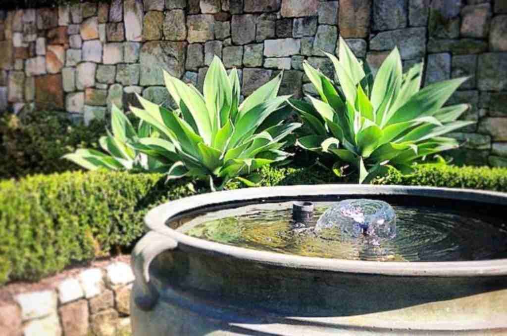 pond fountain cleaning
