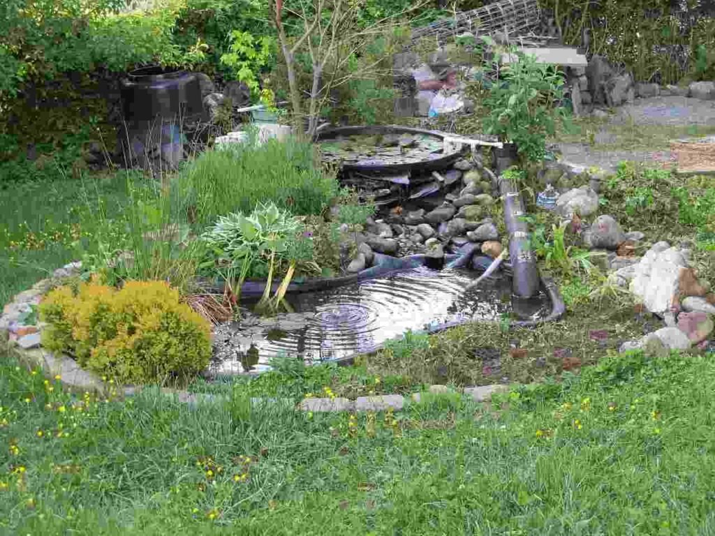 pond installation