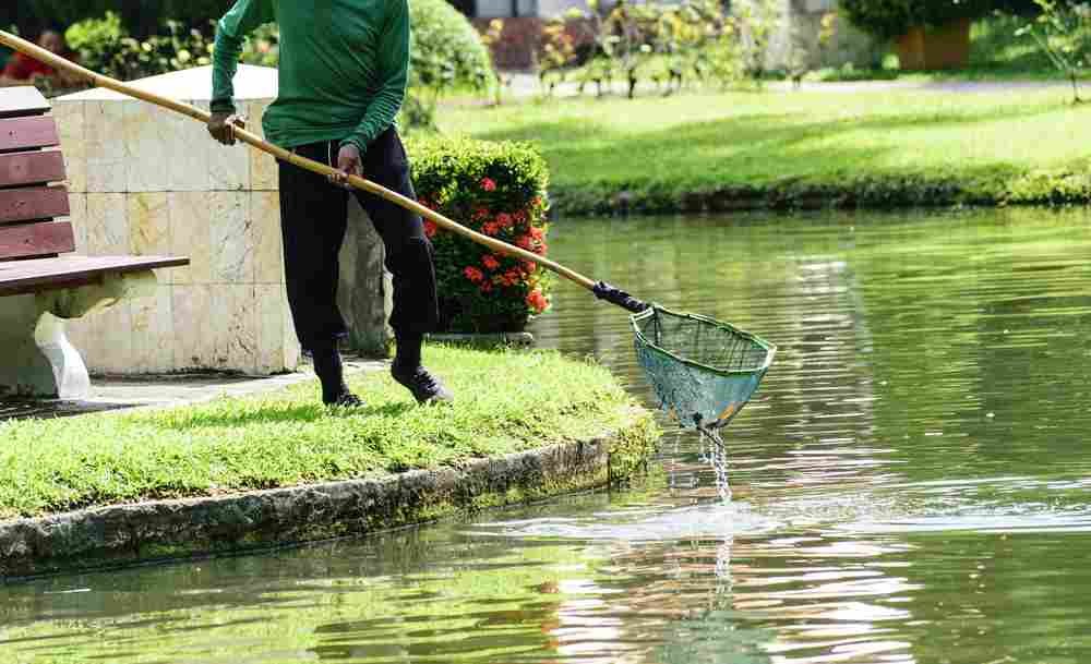 pond cleaning service