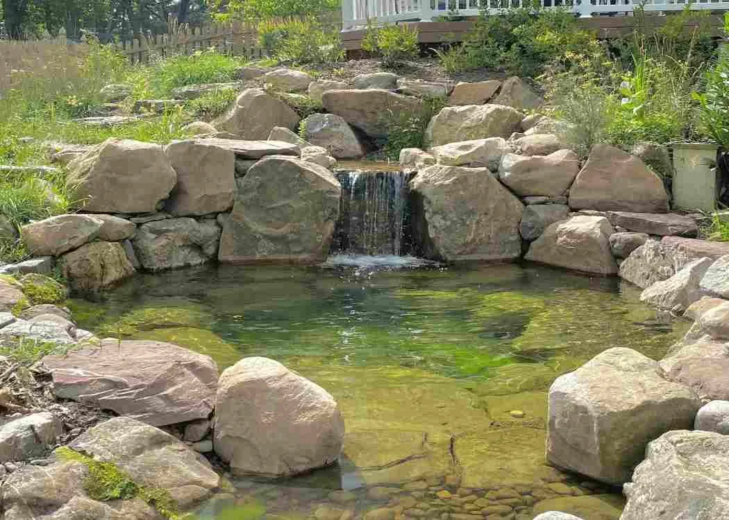 Professionally maintained pond and water feature