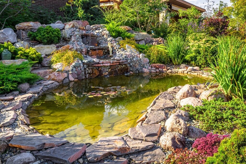 pond