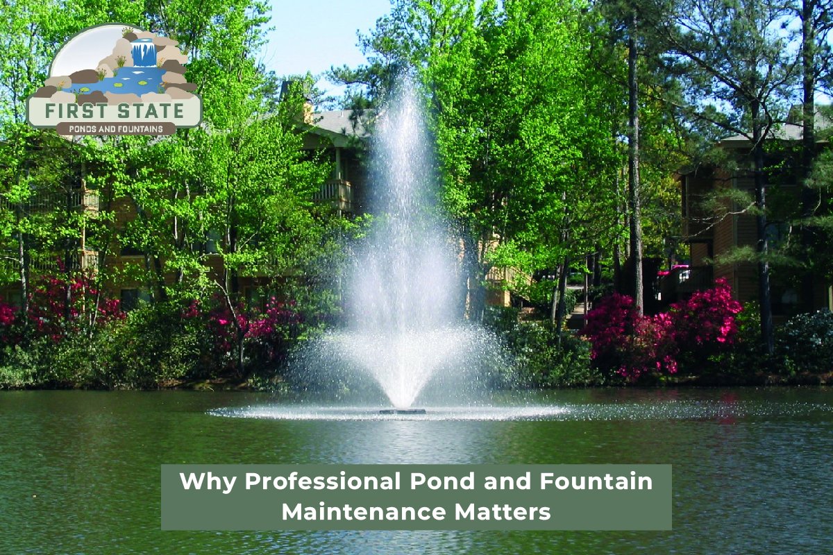 Why Professional Pond and Fountain Maintenance Matters