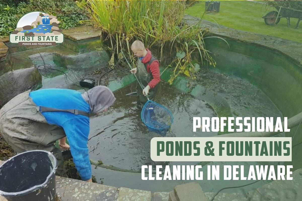 ponds cleaning