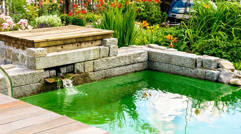 pond fountain maintain