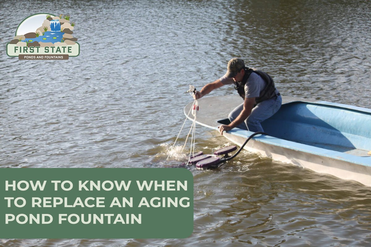 How to Know When to Replace an Aging Pond Fountain?