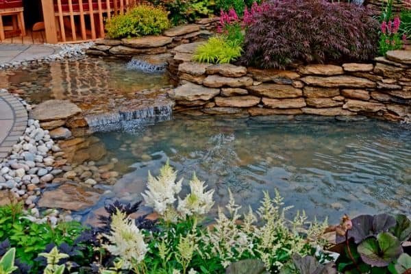 pond clean
