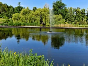 Fountain Cleaning, Maintenance, & Services Wilmington, Newark, & Middletown, Delaware