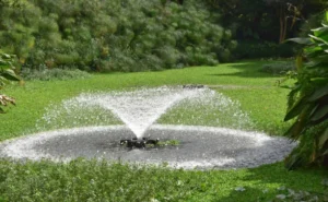 Fountain Cleaning Delaware