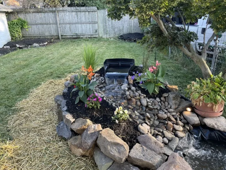 Pond and Fountain Maintenance