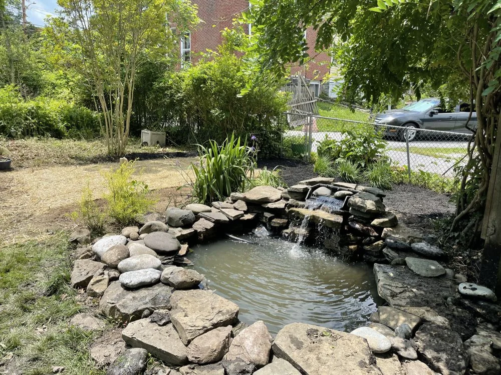 backyard pond